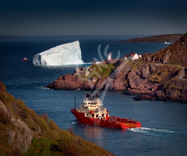 St. John's, iceberg outside the Narrows